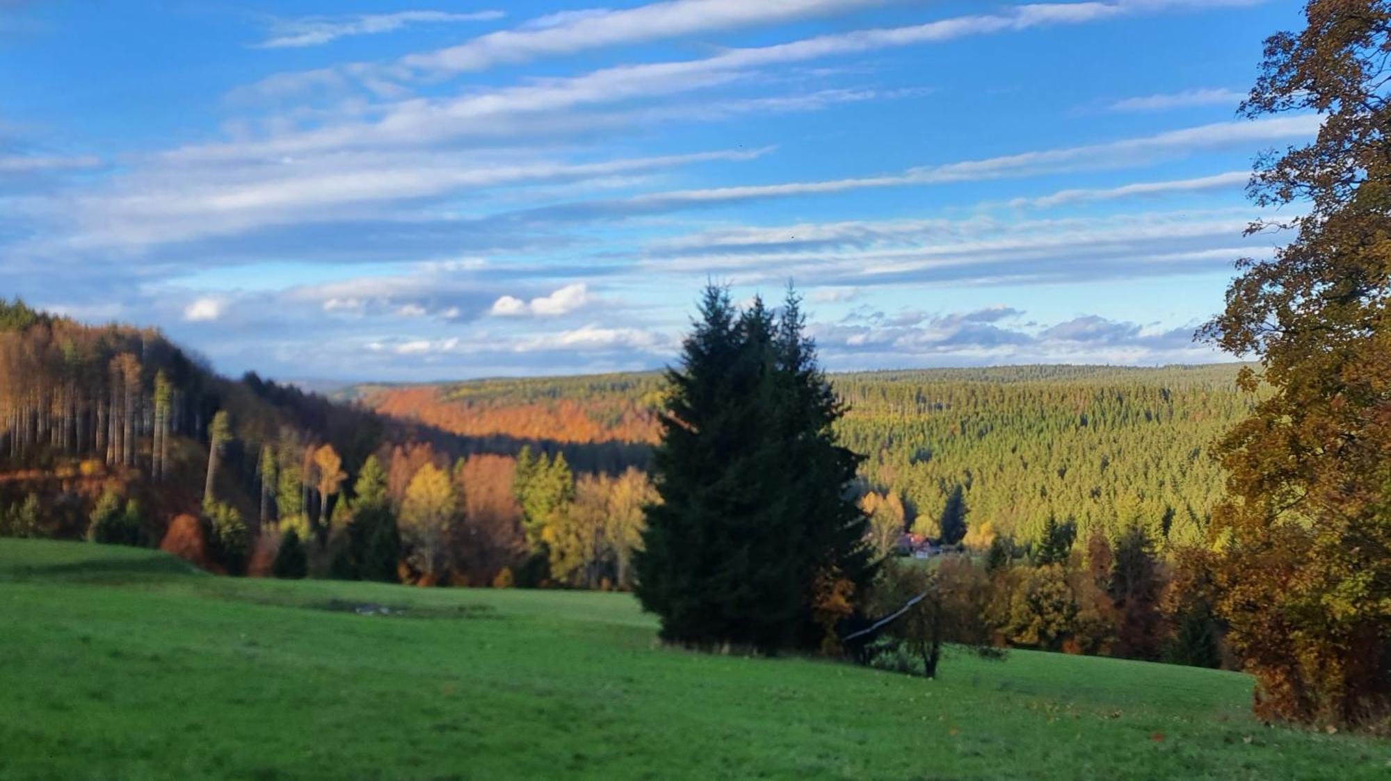 Chata Zieleniecka Bed & Breakfast Duszniki Zdroj Luaran gambar