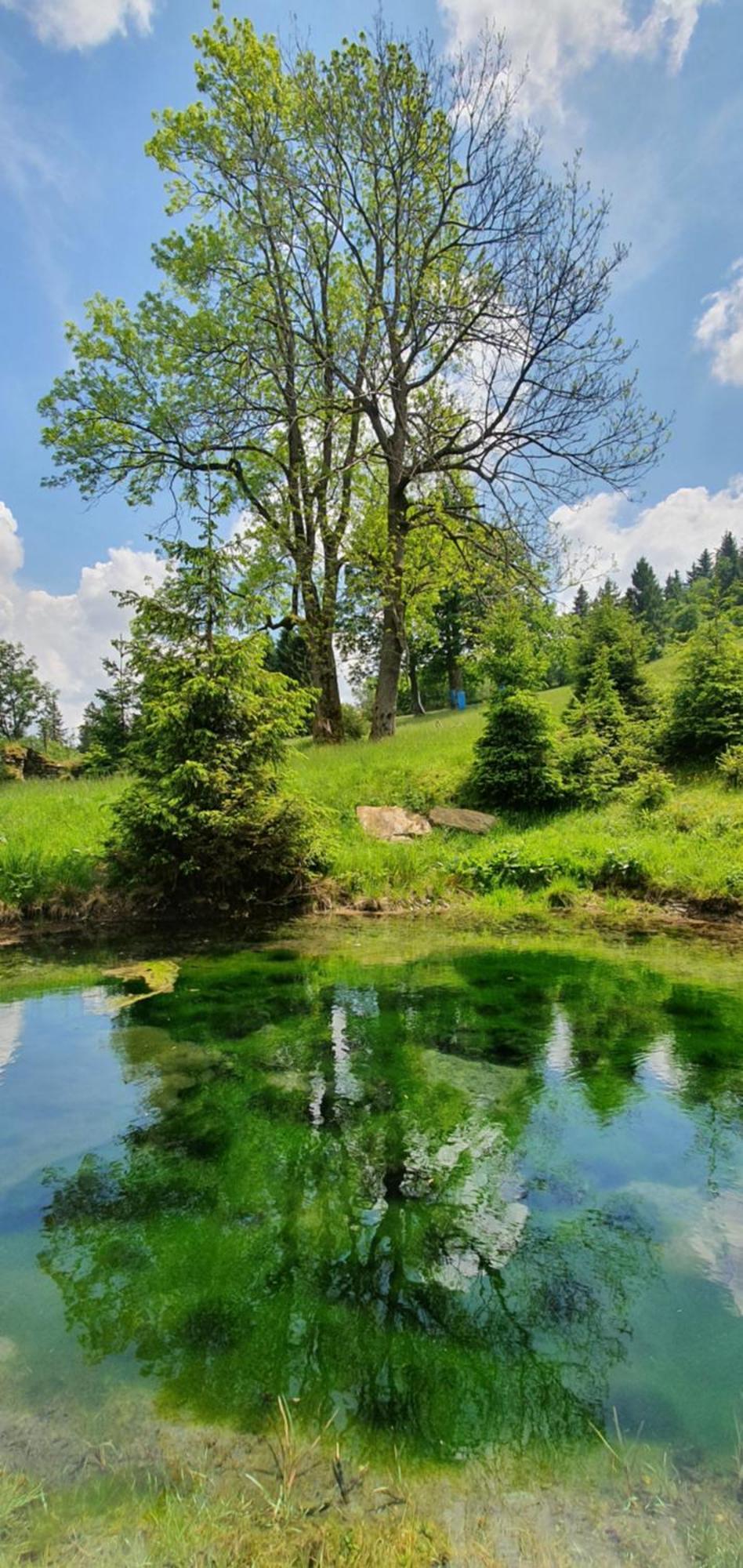 Chata Zieleniecka Bed & Breakfast Duszniki Zdroj Luaran gambar