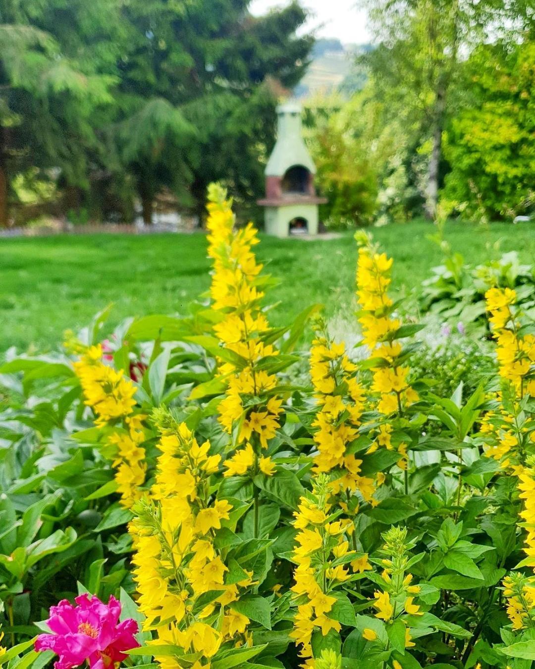 Chata Zieleniecka Bed & Breakfast Duszniki Zdroj Luaran gambar