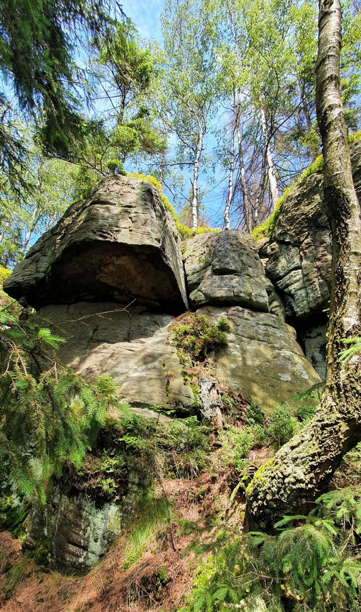 Chata Zieleniecka Bed & Breakfast Duszniki Zdroj Luaran gambar